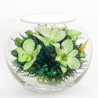 FIORA Арт: 35074(BLOz) цветы в стекле